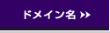 �����^���T�[�o�[�œƎ��h���C�����p