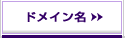 �����^���T�[�o�[�œƎ��h���C�����p