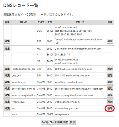 webarena suite dnsレコード